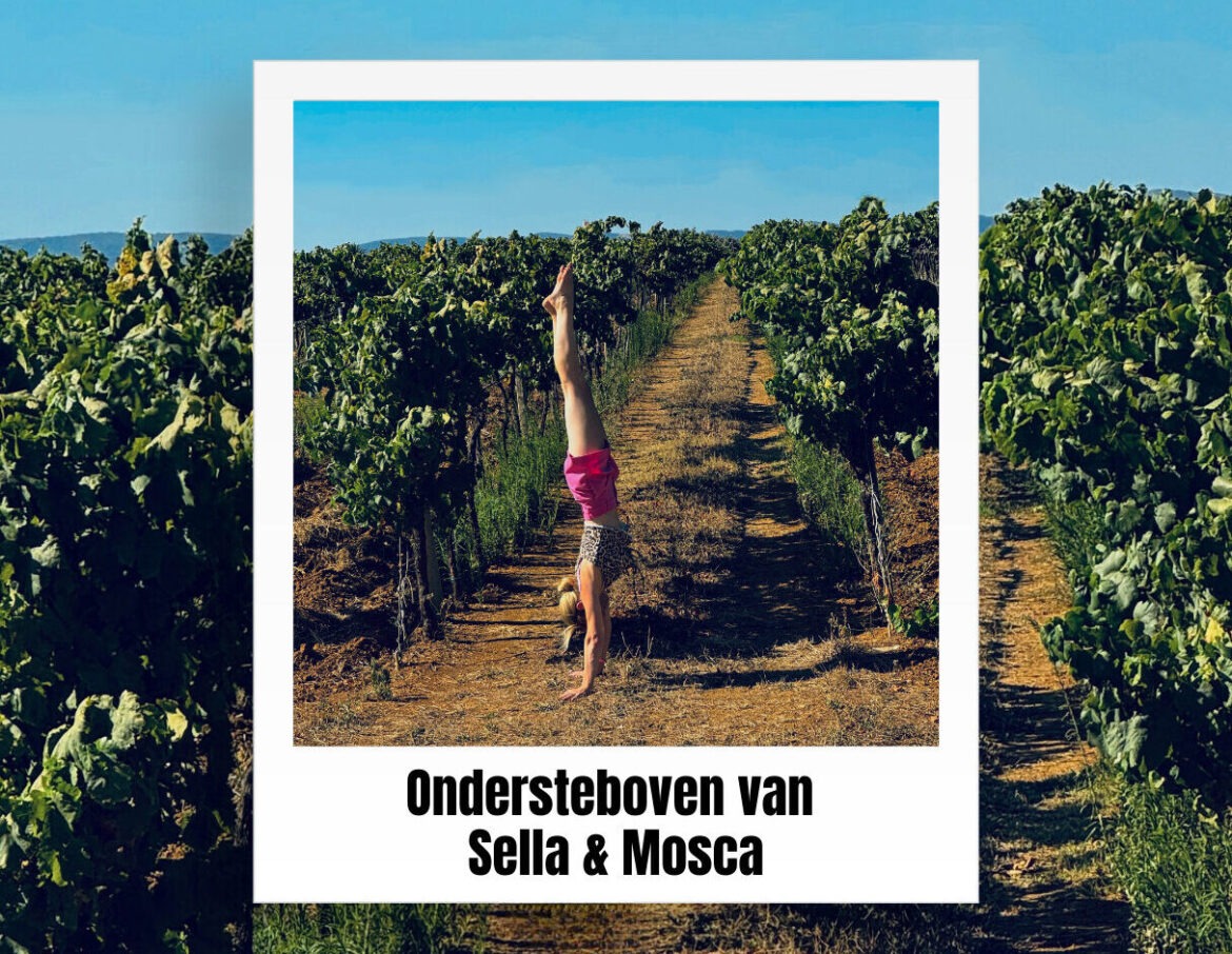 Ondersteboven van Sella & Mosca